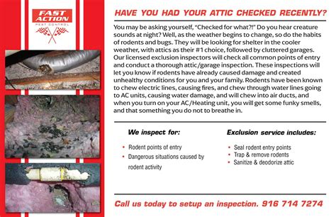 Fast Action Pest Control. Elk Grove Insect & Rodent Exterminators