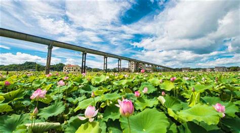 湖南湘潭有一座圆形的地标建筑,窑湾古街的记忆之景|窑湾|古街|湘潭_新浪新闻