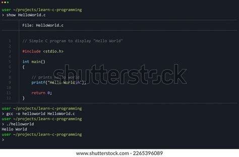 Basic C Programming Examples in Hello 的图像结果