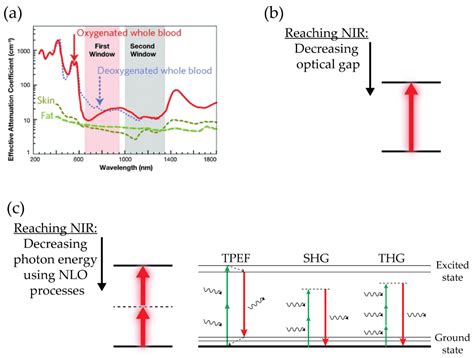 Nanotechnology in Tumor Biomarker Detection: The Potential of Liganded ...