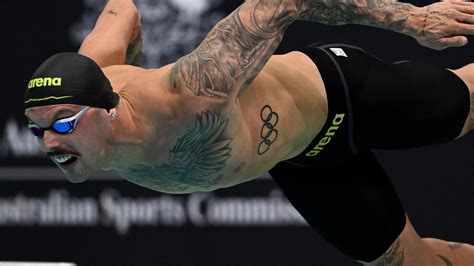 Swimming Olympics 的图像结果