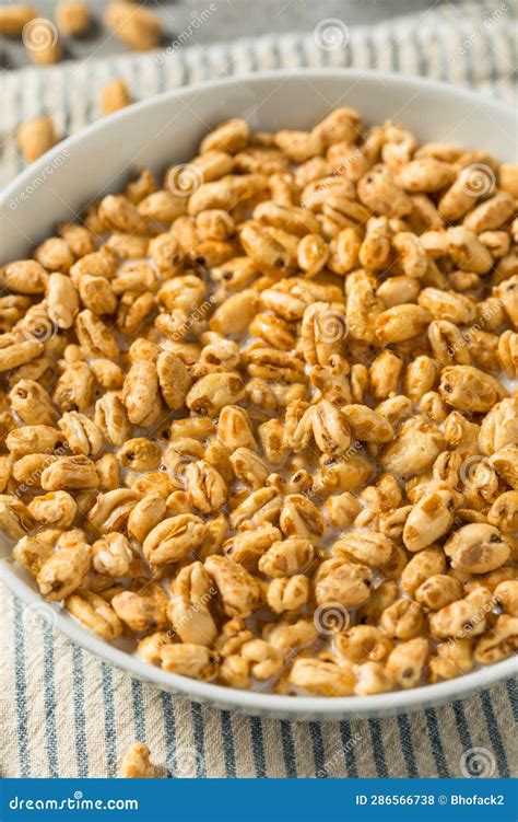 Healthy Sweet Puffed Wheat Breakfast Cereal Stock Photo - Image of ...