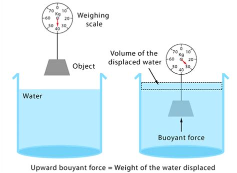 Important Points: Gravitation - Science Class 9 PDF Download