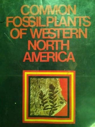 Common fossil plants of western North America : Amazon.in: Books