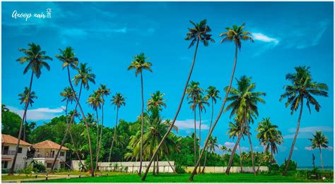 THE BEST Places to Visit in Aroor (2026) - Must-See Attractions