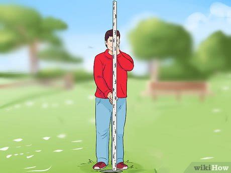 How Do You Set Up a Dumpy Level 的图像结果