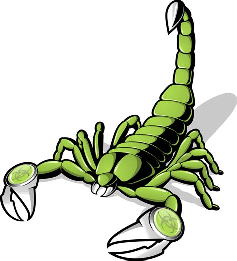 Scorpion Euclidean vector Clip art - Scorpions png download - 1081*1191 ...