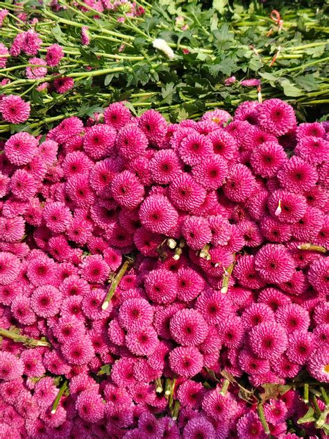 4k+Mature+Celeb+Full+Nude+Movie Photos, Download The BEST Free 4k+Mature+Celeb+Full+Nude+Movie ...