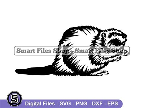 Buy Beaver #2 SVG, Beaver SVG, Animals Svg, Beaver Dxf, Beaver Png ...