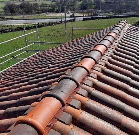 Terracotta Roof Tile - Imported Terracotta Clay Roof Tiles Trader ...