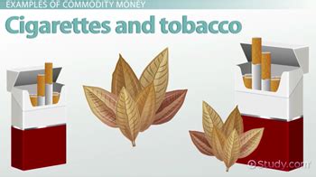 Is Shells an Example of Commodity Money 的图像结果
