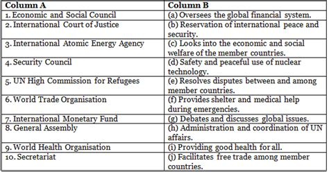 NCERT Solutions for Class 12 Political Science - International ...