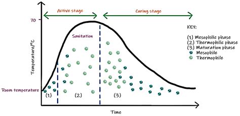 The Effect of Initial Carbon to Nitrogen Ratio on Kitchen Waste ...