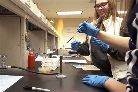 Basic Human Biology 的图像结果