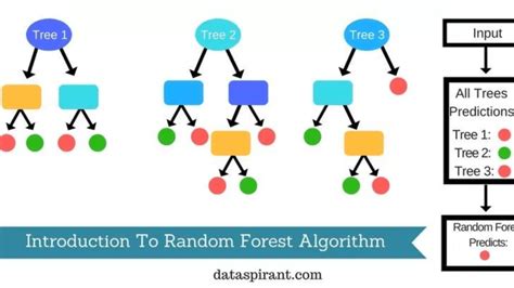 Statquest Random Forest 的图像结果