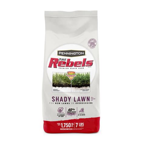 Pennington Rebels Shady Lawn Grass Seeds Mix, for Moderate to Heavy ...