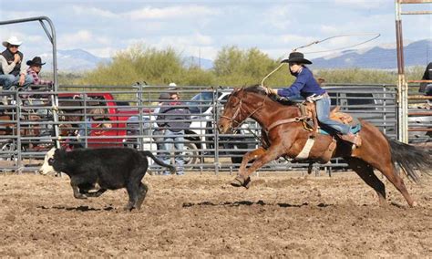 Breakaway Roping Lessons 的图像结果