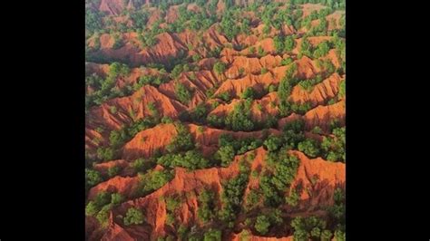 Red sand dunes on outskirts of Visakhapatnam face threat of ...