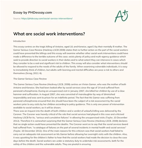 What are social work interventions? - PHDessay.com