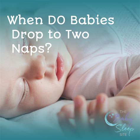 When Do Babies Drop to 2 Naps? | Baby Sleep Schedules