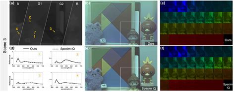 Image result for Image Visualization