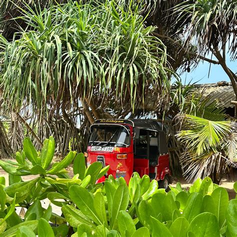 NH BENTOTA CEYSANDS RESORT (Aluthgama) - Hotel Reviews, Photos, Rate ...