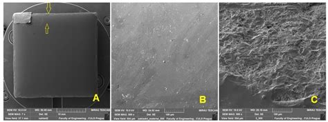 Tribological Behaviour of Enamel Coatings Created by a Prototype Device ...
