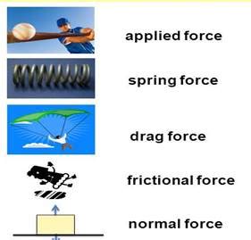 Name two broad categories of forces.