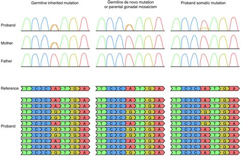 Somatic Mosaicism and Autism Spectrum Disorder