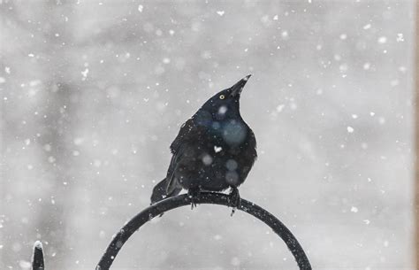 The first winter forecast for 2022-23 is out: See what the Farmers ...