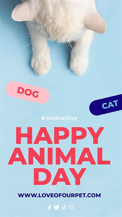 宠物节快乐公益宣传海报 - 大神设计