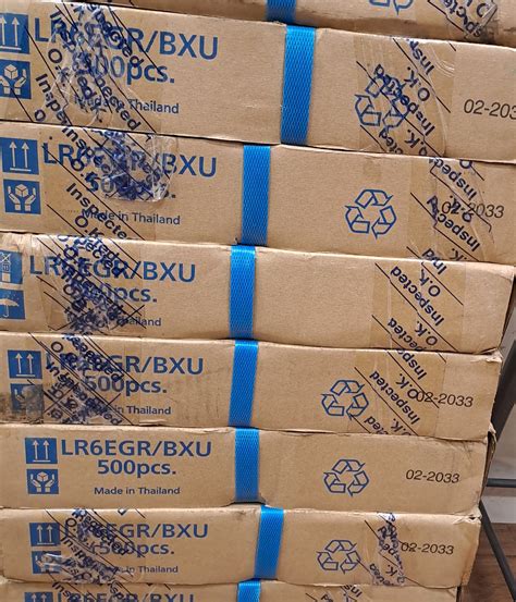 Buy Panasonic Evolta AA Alkaline Batteries – Long-Lasting Power for ...