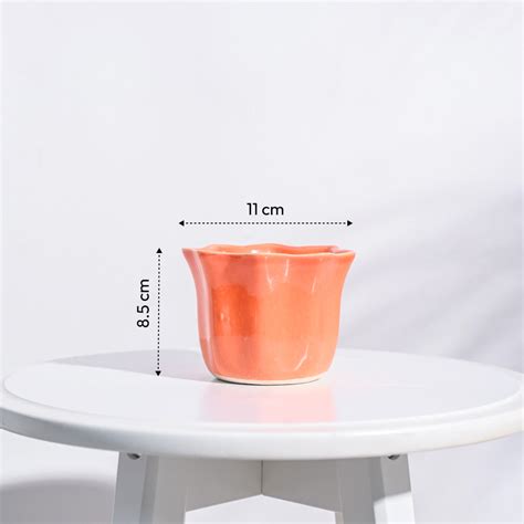 Star Ceramic Pot (4.2 Inch Width) – Ugaoo