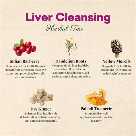Liver Cleansing Herbal Tea 90 GM – SAPTNOVA