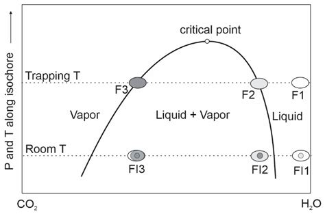 Common Problems and Pitfalls in Fluid Inclusion Study: A Review and ...
