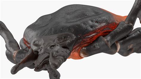 Tutorial Clock Tick Maya 的图像结果