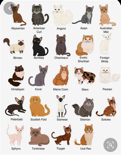 Warrior cats name generator 1 000 warrior cat names – Artofit