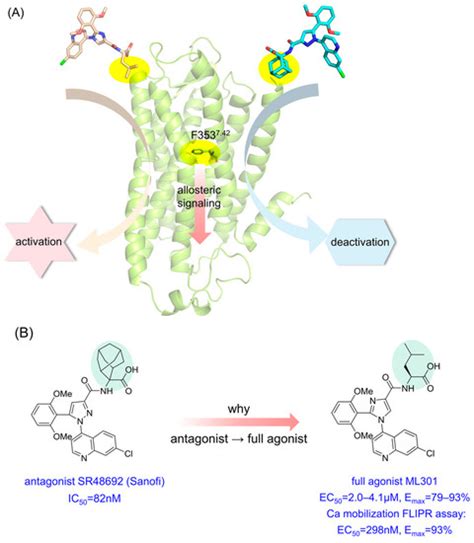 Mechanistic Elucidation of Activation/Deactivation Signal Transduction ...