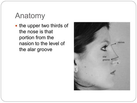 Nasal dorsum 2023.pptx