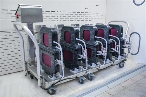 Image result for Multiple Extraction