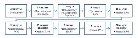 Окраска по Папаниколау — Пап-тест (РАР-тест): протокол окрашивания от ...