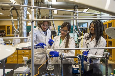 Image result for Examples of Bioethics