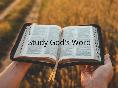 Scriptures About Studying The Word Of God | Detroit Chinatown