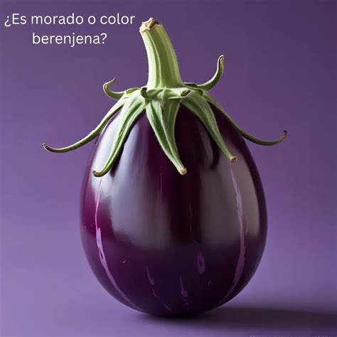 How to Say Purple in Spanish: 15 Colorful Ways to Express It