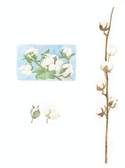 Image result for Dynamo If Python Example