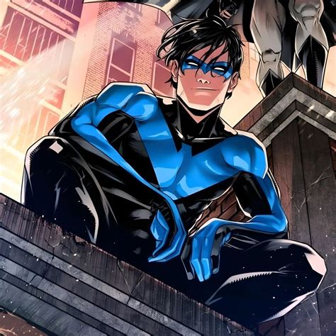 Nightwing Btas 的图像结果
