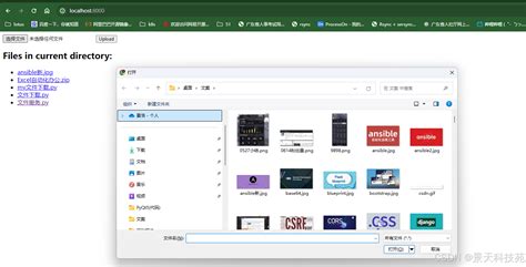 HTTP File Server in Python 的图像结果