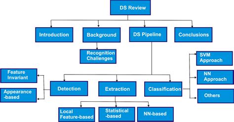 Down Syndrome Face Recognition: A Review