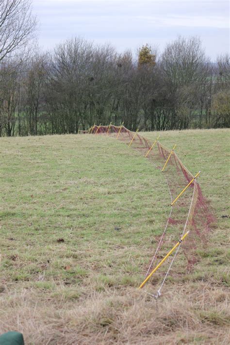 Image result for Squirrel Control