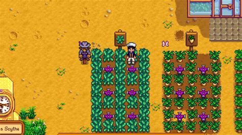 Kale Juice Stardew at Dean Ransford blog